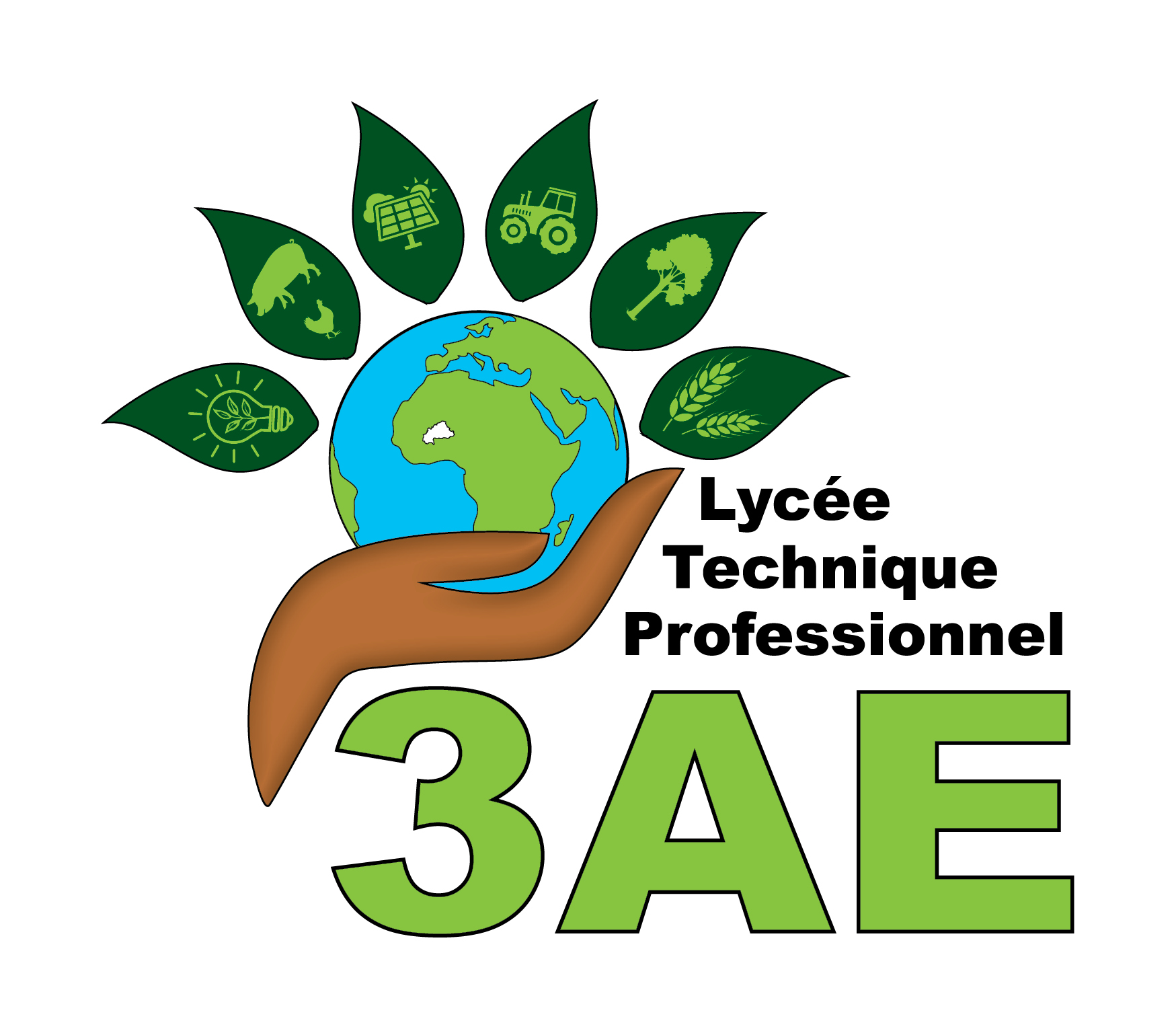 Le Lycée Professionnel (LPT3AE)